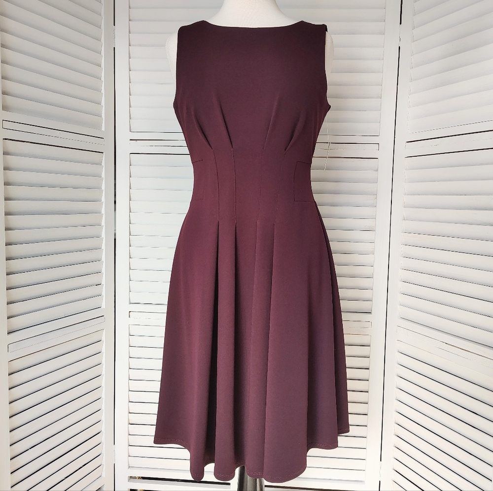 Taylor Fit & Flare Sleeveless Lined Figure Flattering NWT Size 6